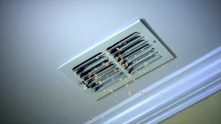 South Pasadena, CA Airduct Cleaning Company